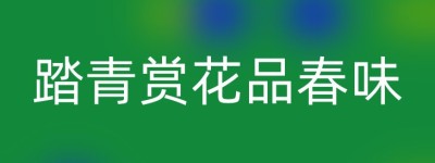 踏青赏花品春味