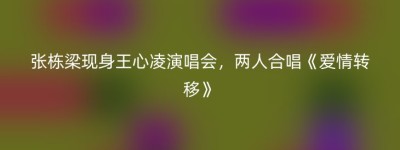 张栋梁现身王心凌演唱会，两人合唱《爱情转移》
