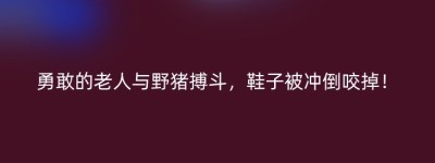 勇敢的老人与野猪搏斗，鞋子被冲倒咬掉！
