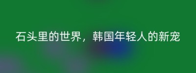 石头里的世界，韩国年轻人的新宠