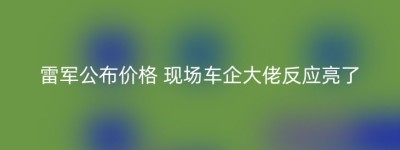 雷军公布价格 现场车企大佬反应亮了