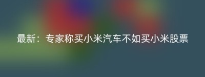 最新：专家称买小米汽车不如买小米股票