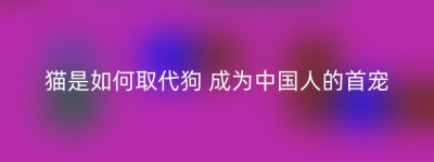 猫是如何取代狗 成为中国人的首宠