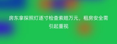 房东拿探照灯逐寸检查索赔万元，租房安全需引起重视