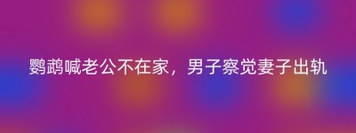 鹦鹉喊老公不在家，男子察觉妻子出轨
