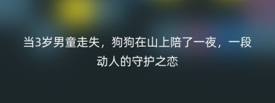 当3岁男童走失，狗狗在山上陪了一夜，一段动人的守护之恋