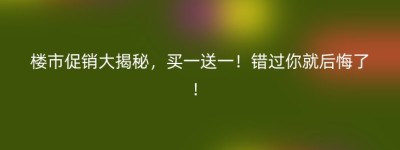 楼市促销大揭秘，买一送一！错过你就后悔了！