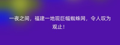 一夜之间，福建一地现巨幅蜘蛛网，令人叹为观止！