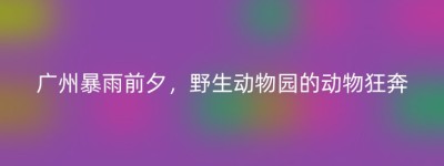 广州暴雨前夕，野生动物园的动物狂奔
