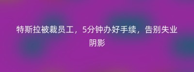特斯拉被裁员工，5分钟办好手续，告别失业阴影