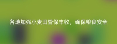各地加强小麦田管保丰收，确保粮食安全