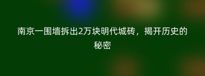 南京一围墙拆出2万块明代城砖，揭开历史的秘密