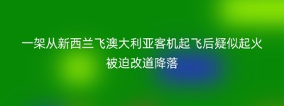 一架从新西兰飞澳大利亚客机起飞后疑似起火被迫改道降落