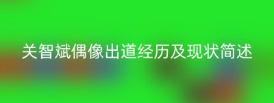 关智斌偶像出道经历及现状简述