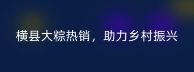 横县大粽热销，助力乡村振兴