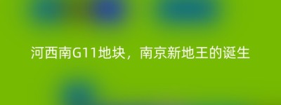 河西南G11地块，南京新地王的诞生