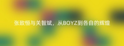 张致恒与关智斌，从BOYZ到各自的辉煌