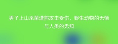 男子上山采菌遭熊攻击受伤，野生动物的无情与人类的无知