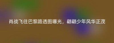 肖战飞往巴黎路透图曝光，翩翩少年风华正茂