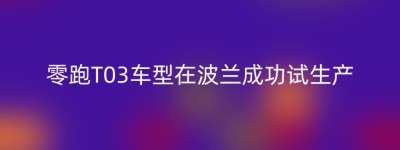 零跑T03车型在波兰成功试生产
