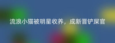 流浪小猫被明星收养，成新晋铲屎官