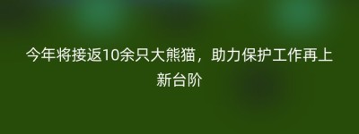 今年将接返10余只大熊猫，助力保护工作再上新台阶