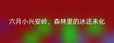 六月小兴安岭，森林里的冰还未化