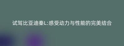 试驾比亚迪秦L:感受动力与性能的完美结合