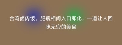 台湾卤肉饭，肥瘦相间入口即化，一道让人回味无穷的美食