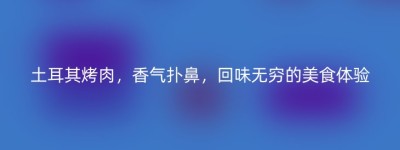 土耳其烤肉，香气扑鼻，回味无穷的美食体验