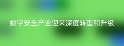 数字安全产业迎来深度转型和升级