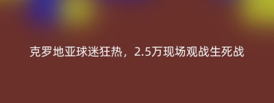 克罗地亚球迷狂热，2.5万现场观战生死战