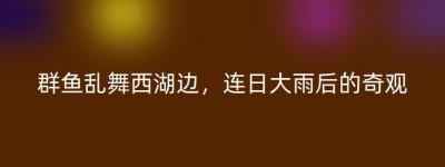 群鱼乱舞西湖边，连日大雨后的奇观