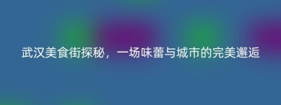武汉美食街探秘，一场味蕾与城市的完美邂逅