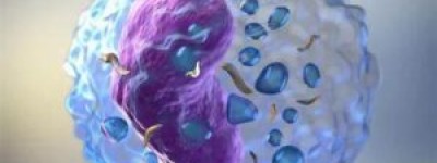 终于官宣发布：国内新鲜出炉2025年医保后依鲁替尼价格/均价大概多少钱答案揭晓