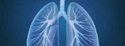 尼达尼布2025医保价格/售价（7000元）一览！正常尼达尼布一盒多少钱(元)