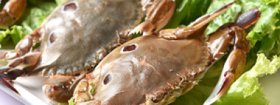 兰花蟹和梭子蟹的区别
