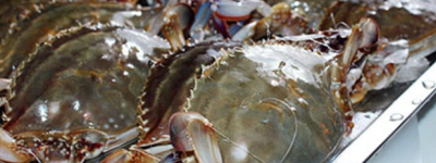 一览表：梭子蟹怎么清理干净？离谱!阳澄湖刚开捕,蟹卡就37天内提不了货,专家揭秘“纸螃蟹”乱象