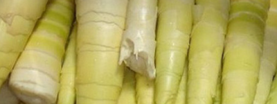 揭秘：中国八渡笋之乡是沙县还是田林县？中国八渡笋之乡是哪里？