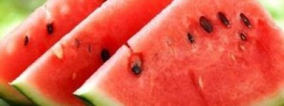 西瓜几月份成熟？全面解析西瓜的成熟季节与挑选技巧