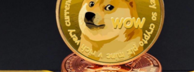 现在：宠物驱虫多少钱一次（2023）国内市场价格一览表