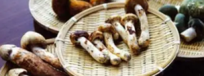 干香菇怎么炒好吃又简单的做法，解锁鲜香秘诀