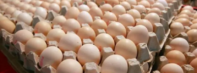 关于减肥！（一个星期）一天三顿光吃鸡蛋能瘦多少斤？专家真实回答一览表