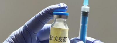 2023狂犬疫苗自费价目表公开，关于！狂犬病潜伏期长达十几年【今日辟谣】