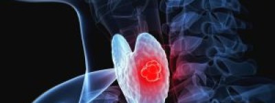 甲状腺健康：警惕两种水果，守护颈部“蝴蝶”