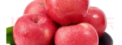 苹果树几月份开花？全国主要产区开花时间一览