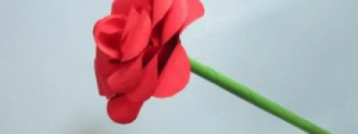 三朵玫瑰花的寓意是什么意思？揭秘玫瑰花语背后的浪漫故事