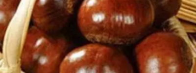 板栗的功效与作用，栗子补气，多吃容易胀气，小窍门解决!