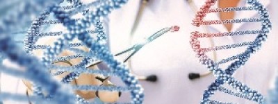 奥希替尼最佳服用时间？奥希替尼价格是多少？