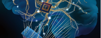 新型脑启发式人工树突神经网络